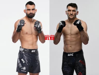 UFC 315：贝诺伊特·圣·丹尼斯vs凯尔·普雷波里克