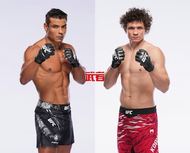 UFC 317：保罗·科斯塔vs罗曼·科皮洛夫